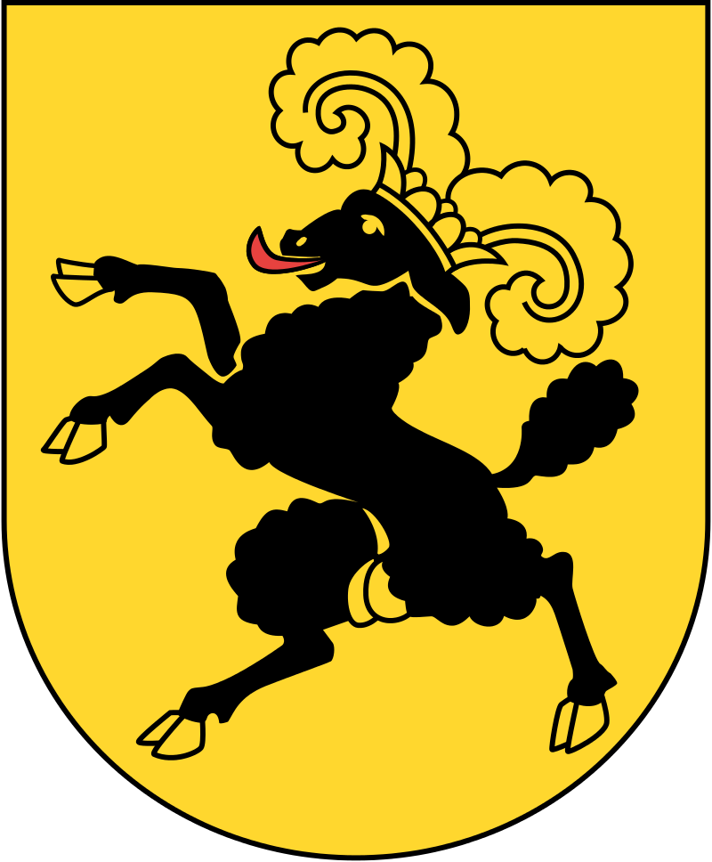 Möbellift Schaffhausen